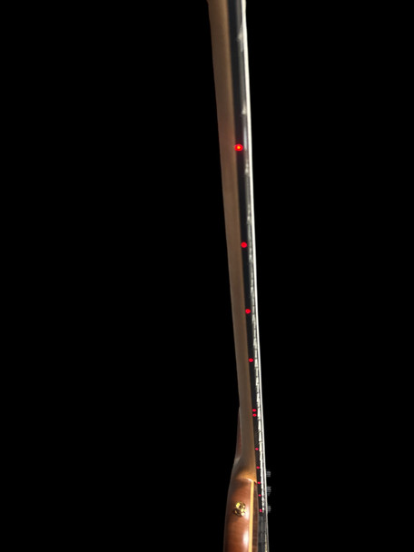 Alembic Crest 4 Medium Scale (32"),  4 String Bass At Bass Central