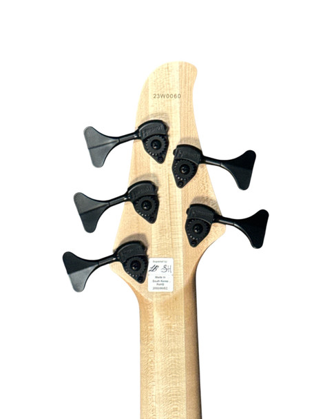 Dingwall D-Roc 5, Blue/Purple Color Shift with Pau Ferro 5 String Bass At Bass Central