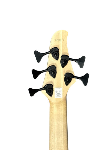 Dingwall D-Roc 5, Aquamarine Metallic Gloss w/ Pau Ferro 5 String Bass At Bass Central
