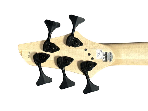 Dingwall Combustion 5 (3 Pickup), Whalepool Burst w/Pau Ferro  5 String Bass At Bass Central