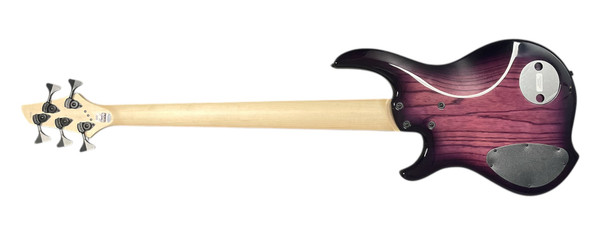 Dingwall, Combustion, Ultra Violet, 5 String, Bass Guitar, EMG, Sheldon Dingwall