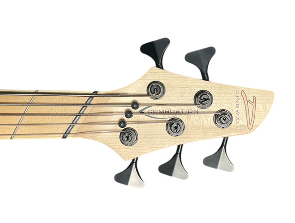 Dingwall, Combustion, 5 String, Bass guitar, fanned frets, whalepool, sheldon dingwall