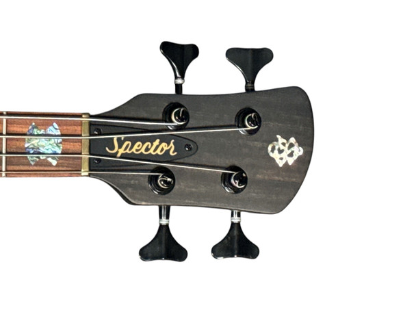 Spector USA NS-2, Haunted Moss / Pau Ferro 4 String Bass At Bass Central