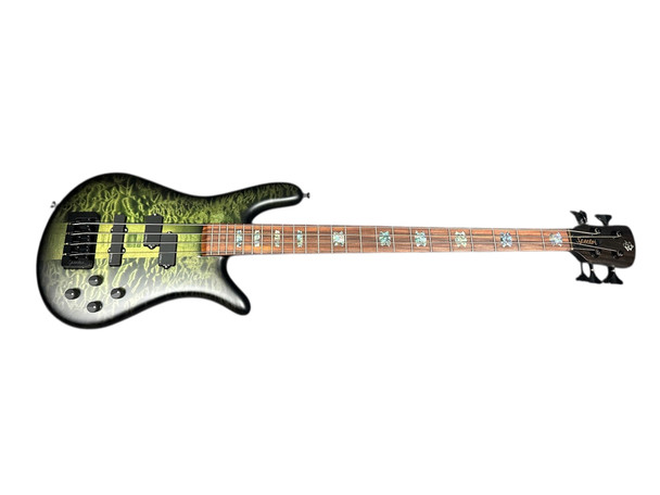 Spector USA NS-2, Haunted Moss / Pau Ferro 4 String Bass At Bass Central