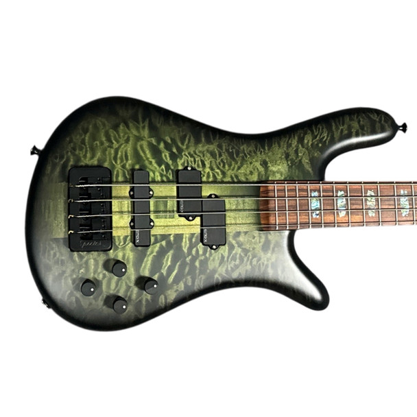 Spector USA NS-2, Haunted Moss / Pau Ferro 4 String Bass At Bass Central