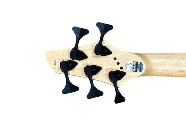 Dingwall Combustion 5 (3 Pickup) Kyle Konkiel Signature Bass 5 String Bass At Bass Central