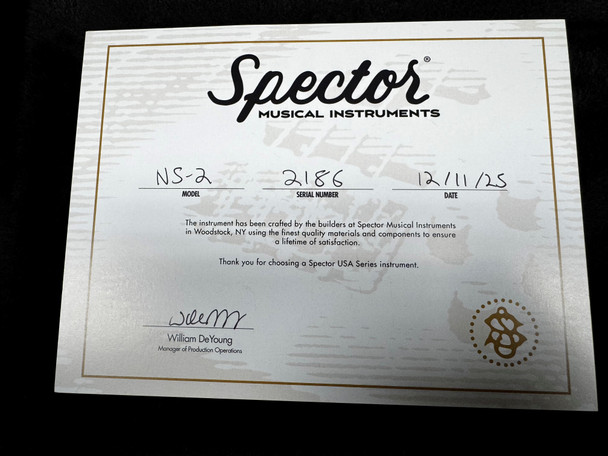 Spector USA NS-2, Custom Matte Green-Blue Burst 4 String Bass At Bass Central