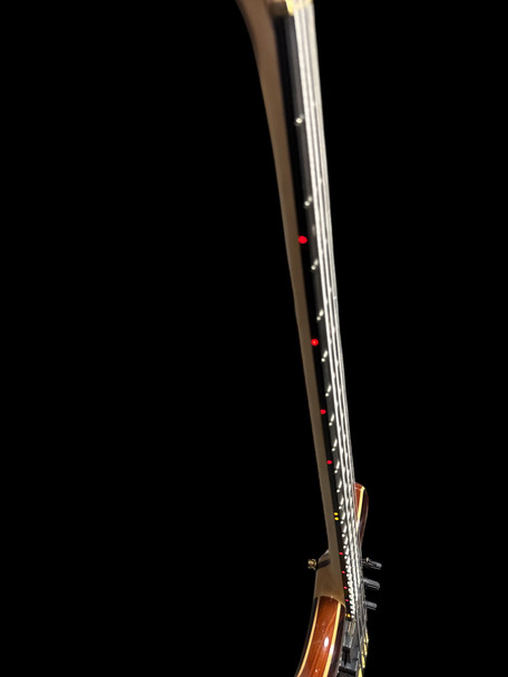 Alembic Stanley Clarke Sign Deluxe, Cocobolo / Ebony 4 String Bass At Bass Central