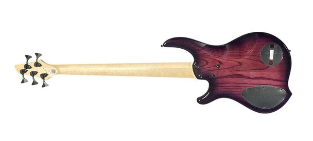 Dingwall, Nashville, Combustion, Neve, Ultra Violet, 5-string, Bass guitar