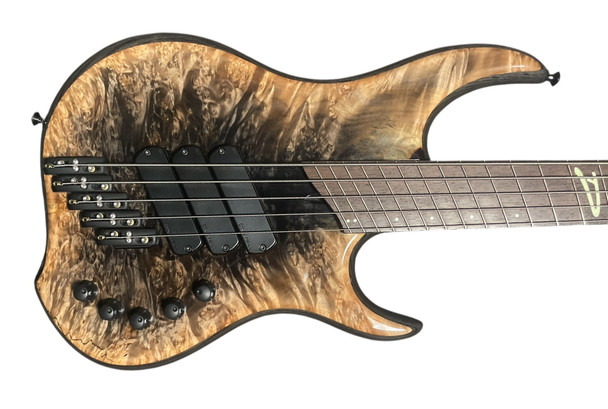 Dingwall, z5, z-5, darkglass, electric bass, 5 string bass, fanned frets, bass guitar, canadian made