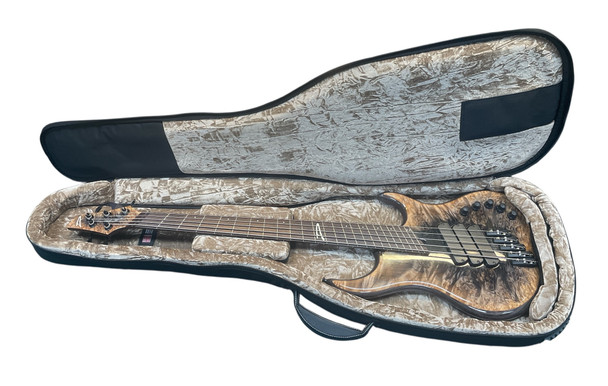 Dingwall, z5, z-5, darkglass, electric bass, 5 string bass, fanned frets, bass guitar, canadian made