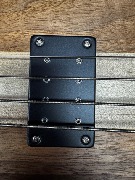 Spector USA SB1 LTD, #45 Of 50 Produced , Black Walnut/Pau Ferro  4 String Bass Central