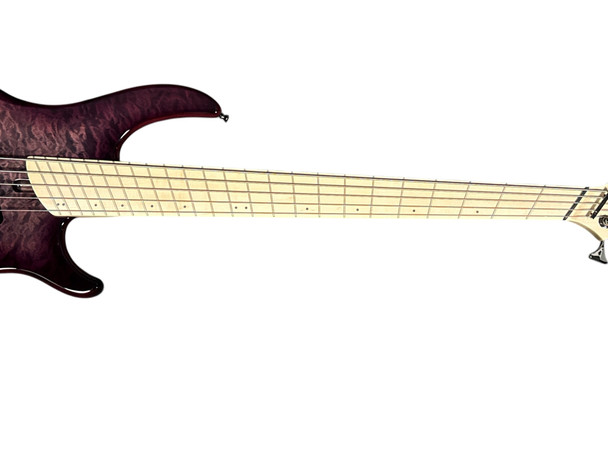 Dingwall Combustion (5), Ultra Violet w/ Maple 5 String Bass At Bass Central
