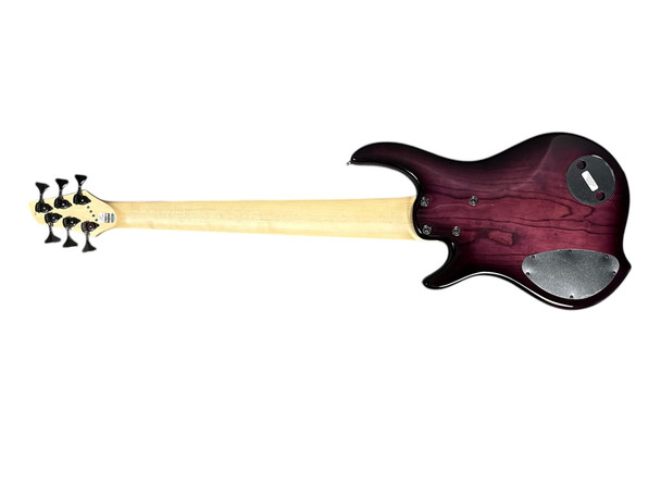 Dingwall Combustion (6), Ultra Violet / Pau Ferro / 3 Pickups 6 String Bass At Bass Central
