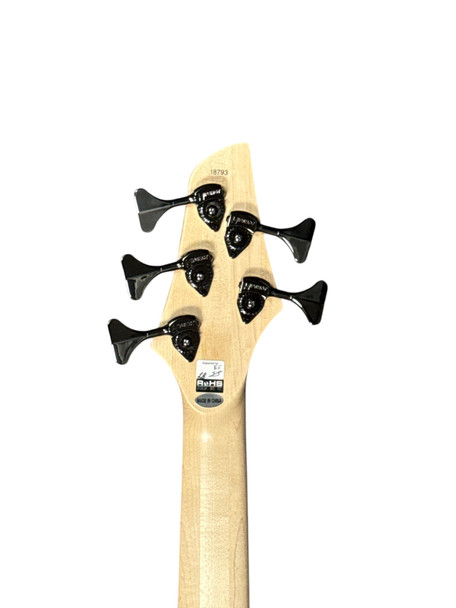 Dingwall Combustion 5, Whalepool Burst w/ Pau Ferro B STOCK (Cannot Find Flaw) 5 String Bass At Bass Central