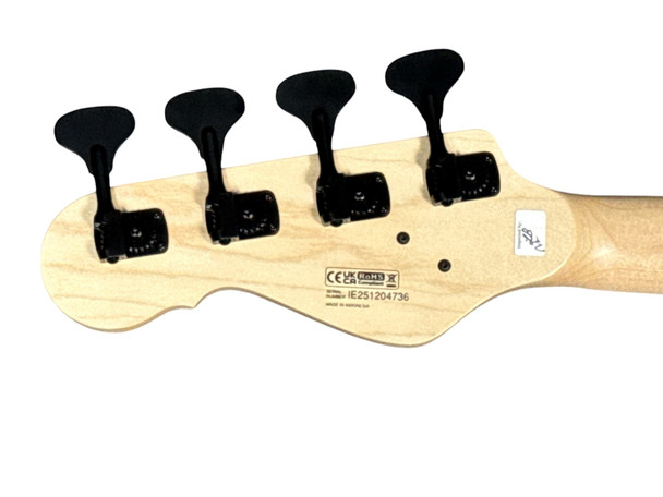Dingwall SP1 Black Gloss 8.4 LBS *IN STOCK**