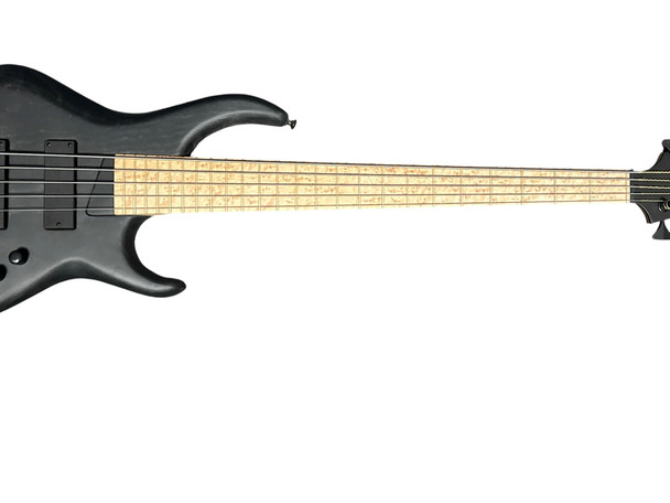 MTD (USA) 535-24, Black Matte / BEM FB *RARE!* 5 String Bass At Bass Central