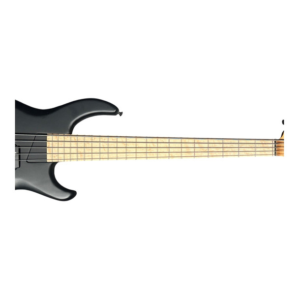 MTD (USA) Saratoga 5, Black Birdseye Maple  5 String Bass At Bass Central