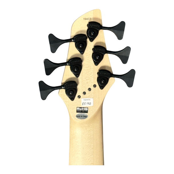 Dingwall Combustion 6 (3 Pickup), Indigo Burst / Pau Ferro  6 String Bass At Bass Central