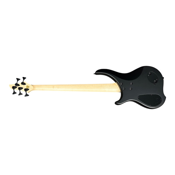 Dingwall ABZ (5) Batural Blackburst, Wenge 5 String Bass At Bass Central