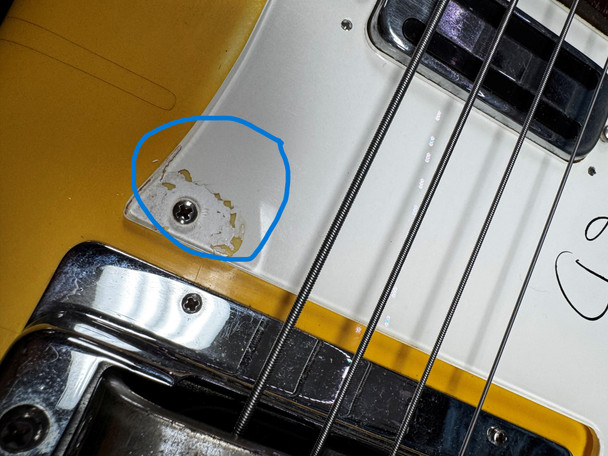 Rickenbacker 4001CS LTD Chris Squire Signature Model  4 String At Bass Central