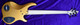 Dingwall NG3 Gold Metallic Left Handed 5 String bass At Bass Central