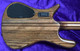 Spector NS Dimension, Super Faded Black Gloss Over Poplar Burl 4 String Bass At Bass Central