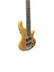 Lakland Skyline 55-01 Deluxe, Spalt  5 String Bass At Bass Central