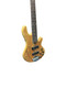Lakland Skyline 55-01 Deluxe, Spalt  5 String Bass At Bass Central