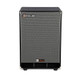 Genzler Nu Classic 115T Bass Cabinet At Bass Central