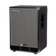 Genzler Nu Classic 115T Bass Cabinet At Bass Central