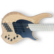 Dingwall Combustion Natural 5 String Bass At Bass Central