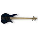 Dingwall Combustion Indigo Burst 2 Pickup 5 String Bass At Bass Central