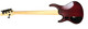 MTD Kingston Super 5 (V2), Dr. Brown's Burst 5 String Bass At Bass Central