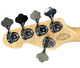 Sandberg Cal. TT-5 SuperLight, 3-TSB  5 String Bass At Bass Central