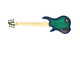 Dingwall Combustion 6 (3 Pickup), Whalepool / Pau Ferro 6 String Bass At Bass Central