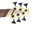 Dingwall Combustion 6 (3 Pickup), Whalepool / Pau Ferro 6 String Bass At Bass Central