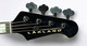 Lakland Skyline 44-64 Custom GZ, Trans Purple 4 String Bass At Bass Central