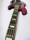 Lakland Skyline 44-64 Custom GZ, Trans Purple 4 String Bass At Bass Central
