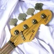 Sandberg California TM4 Hardcore Aged Roquefort Blue 4 String Bass At Bass Central