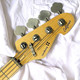 Sandberg California TM4 Hardcore Aged Roquefort Blue 4 String Bass At Bass Central