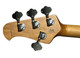 Ernie Ball Music Man Stingray 4 HH Special, Hot Honey / Roasted Maple *IN STOCK*
