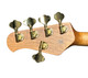 Ernie Ball Music Man Stingray 5 Special, Jackpot  5 String Bass At Bass Central