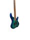 Dingwall Combustion Whalepool 3 Pickup 4 String Bass At Bass Central