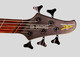 Dingwall D Roc Black 5 String Bass At Bass Central