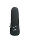 Ernie Ball music Man StingRay 5 "DarkRay", Dark Rainbow / Ebony  *ON ORDER ETA June 2026