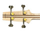 Aria Pro II SB-1000, Natural Ash (Oak Stain)