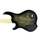 Dingwall Combustion  Blackburst 3 Pickup 5 String Bass At Bass Central