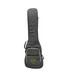 Dingwall Combustion  Blackburst 3 Pickup 5 String Bass At Bass Central