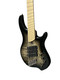 Dingwall Combustion  Blackburst 3 Pickup 5 String Bass At Bass Central